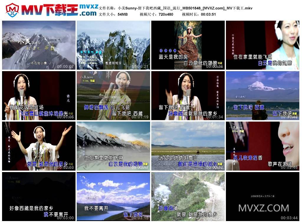 小美Sunny-留下我吧西藏_国语_流行_MB501848